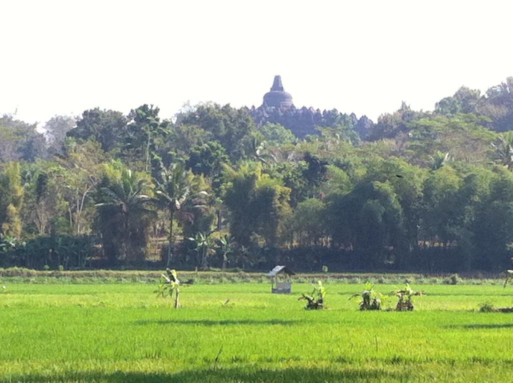 Anugrah Borobudur Magelang Extérieur photo